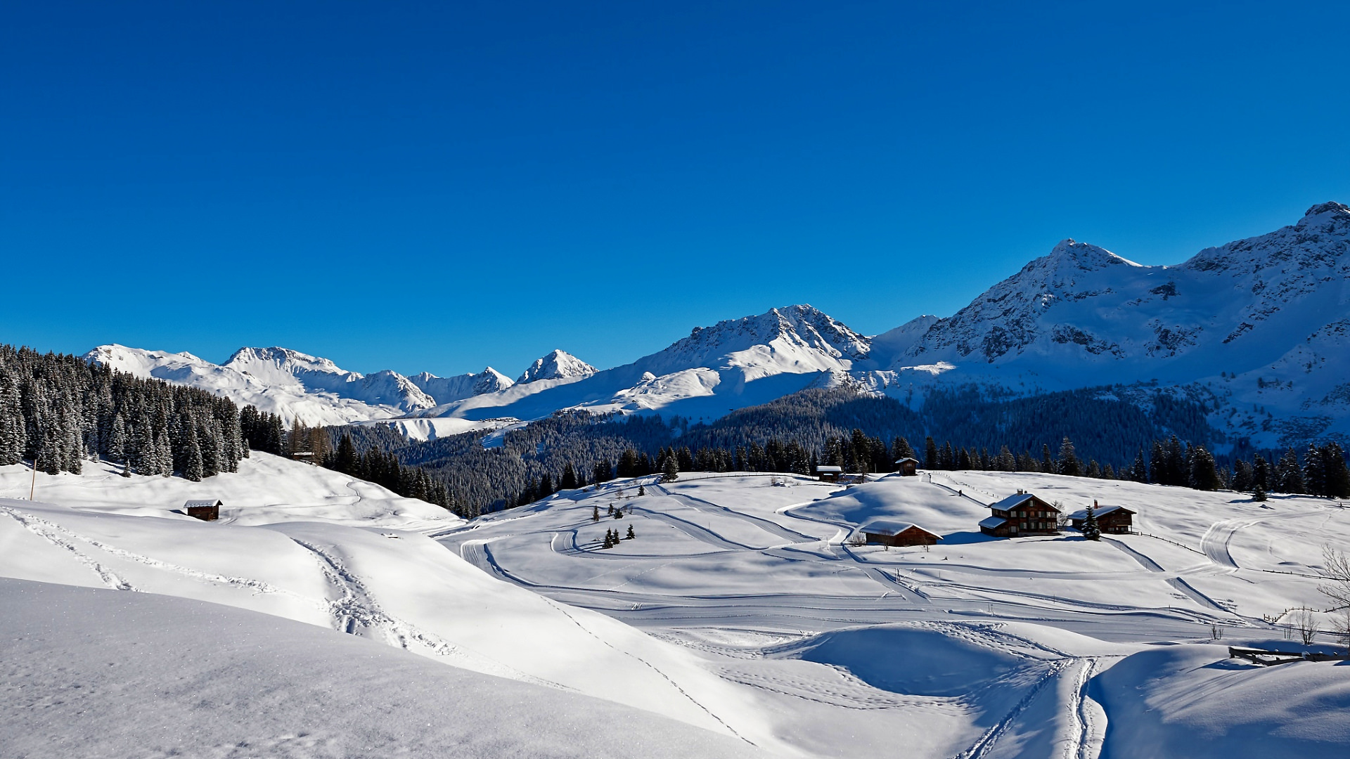 Arosa Gay Ski Week Prätschli