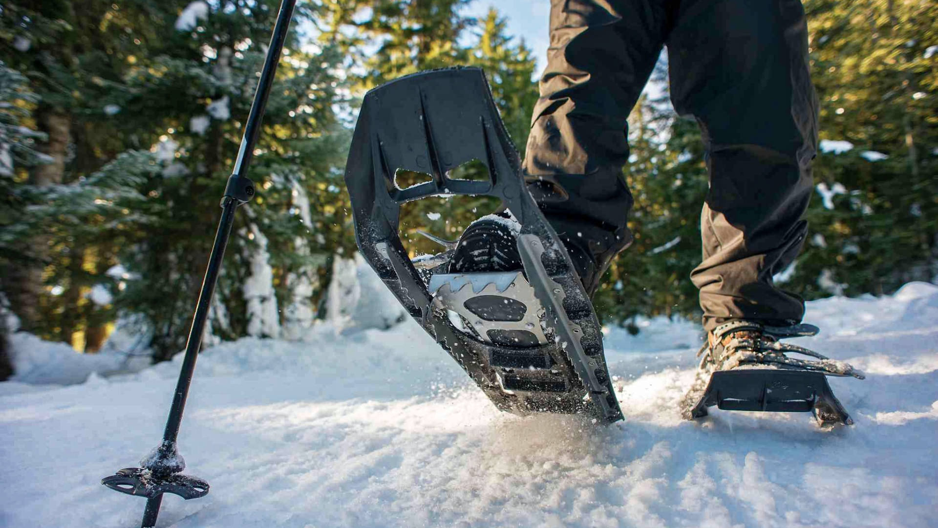 Arosa Snowshoeing